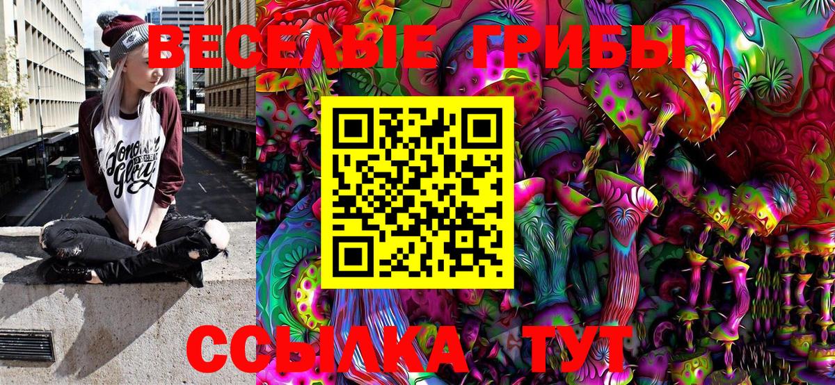 Галлюциногенные грибы Psilocybine cubensis Магадан