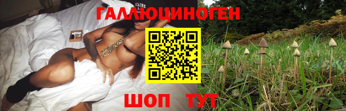 Псилоцибиновые грибы прущие грибы  Вход с VPN  где найти   Магадан 